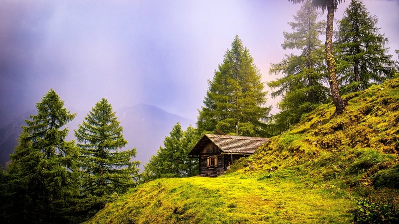 Secluded Cabin in the Woods